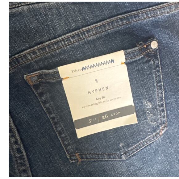 NWT Womens 26 Crop Anthropologie Pilcro Hyphen Boy Fit Embroidered Floral Jeans - Picture 7 of 8